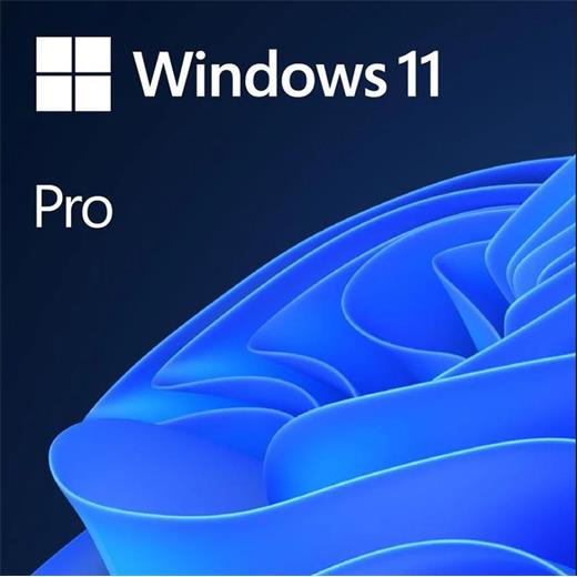 MS WINDOWS 11 PRO TR KUTU HAV-00159